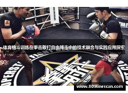体育格斗训练在拳击散打自由搏击中的技术融合与实践应用探索