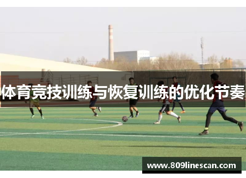 体育竞技训练与恢复训练的优化节奏