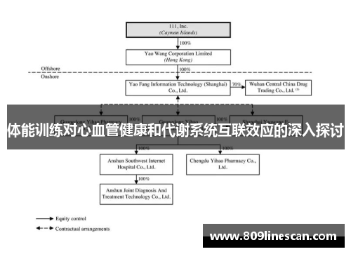 体能训练对心血管健康和代谢系统互联效应的深入探讨